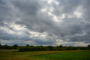 NZF_5409.jpg
